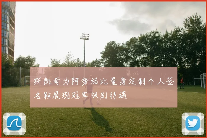 斯凯奇为阿努诺比量身定制个人签名鞋展现冠军级别待遇